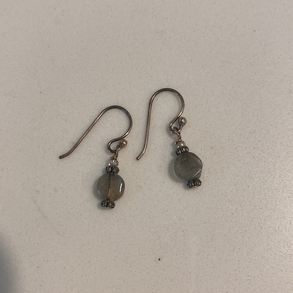 Le Grande silver earrings